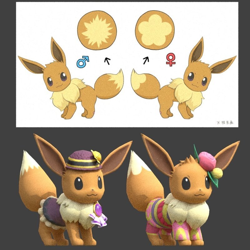 eevee 55