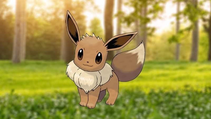 eevee 7 eevee 7