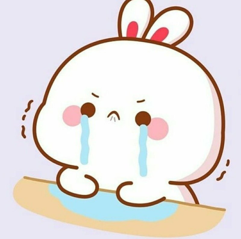 hình ảnh con thỏ anime 31
