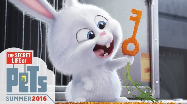 hình ảnh con thỏ anime 32