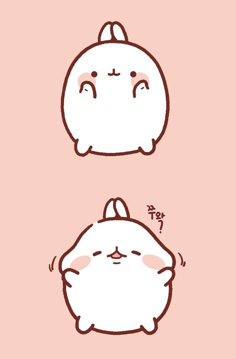 hình ảnh con thỏ anime 56