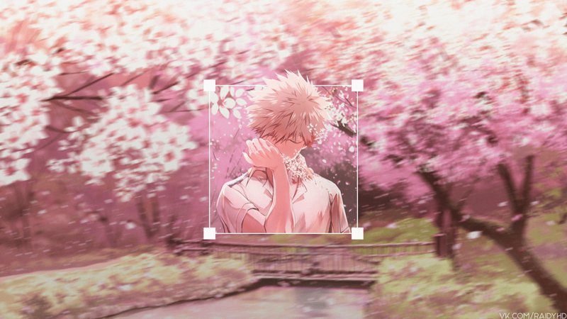 hình nền bakugou 24