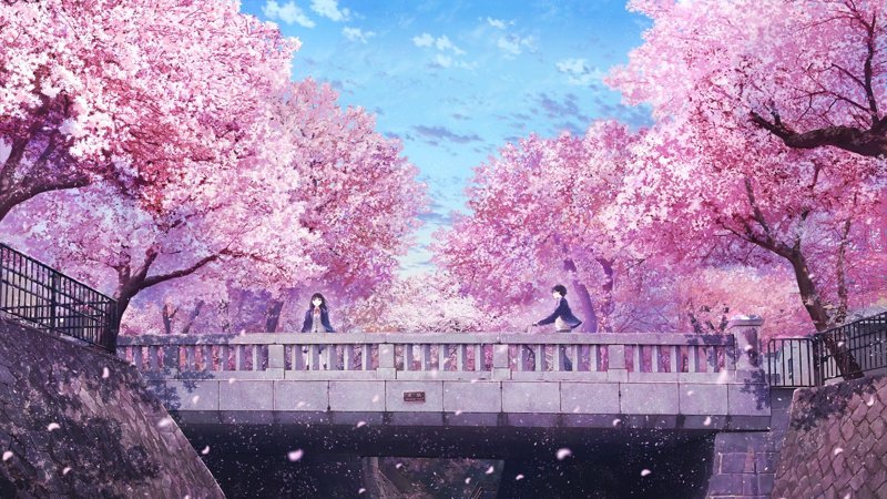 hình nền hoa anh đào anime (1) hình nền hoa anh đào anime (1)
