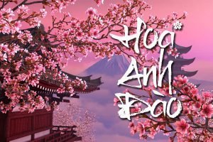 hình nền hoa anh đào anime (19)