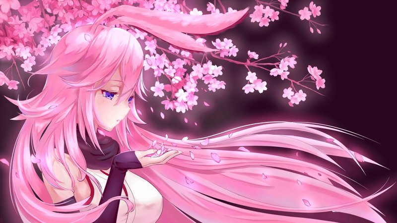 hình nền hoa anh đào anime (2) hình nền hoa anh đào anime (2)