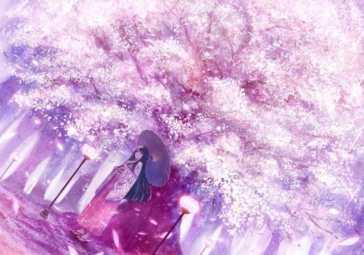 hình nền hoa anh đào anime (34)