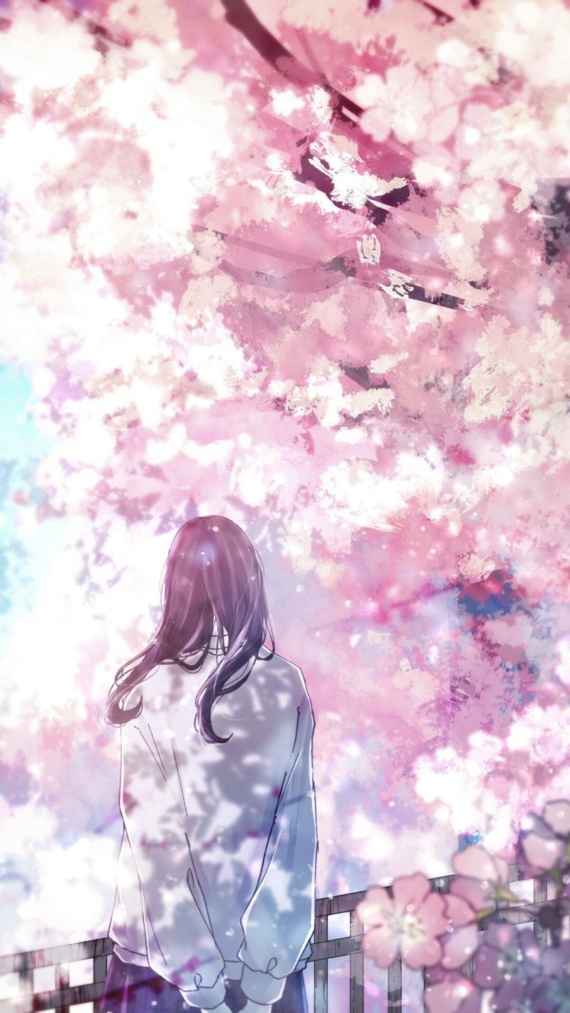 hình nền hoa anh đào anime (37)