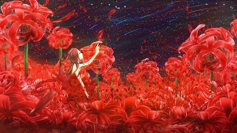 hình nền hoa anh đào anime (4)