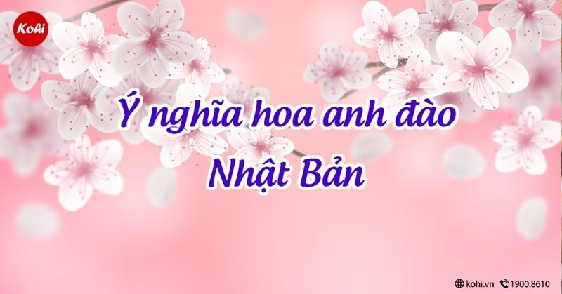 hình nền hoa anh đào anime (4)