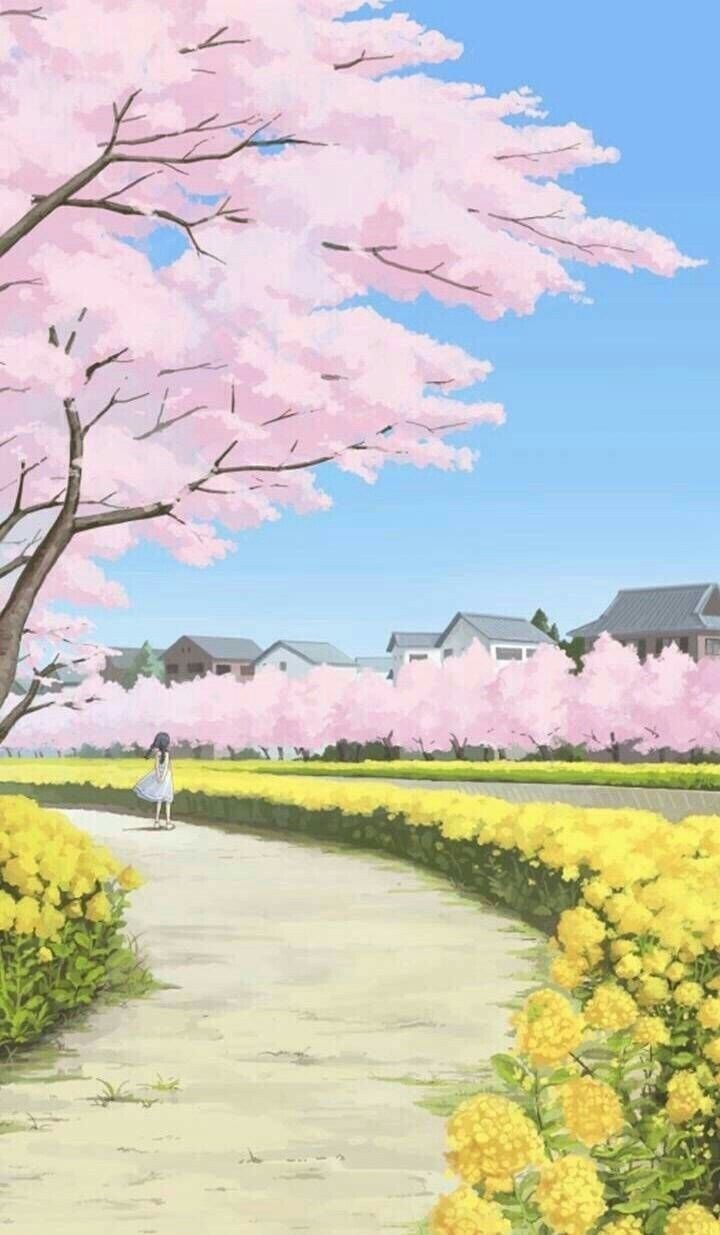 hình nền hoa anh đào anime (49)