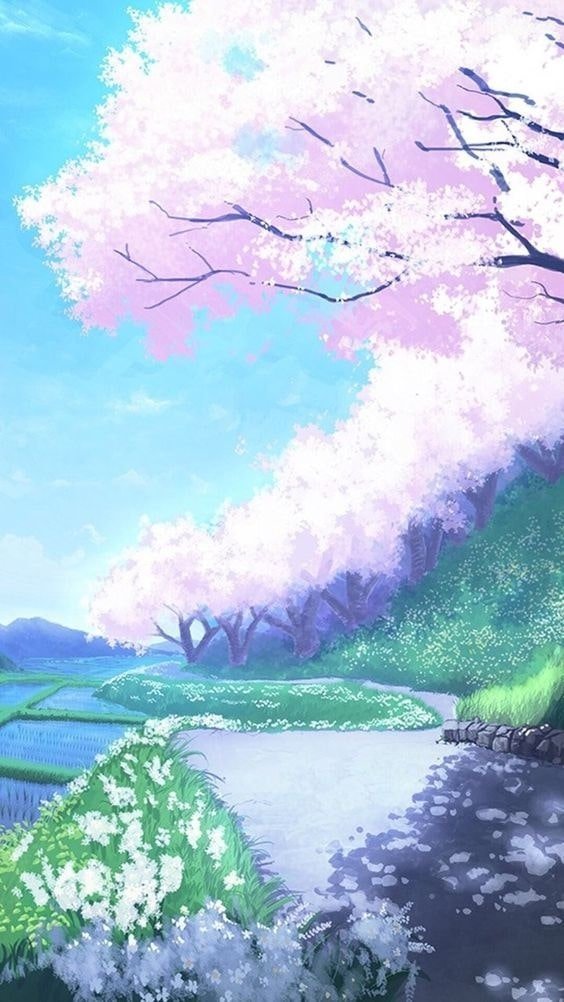 hình nền hoa anh đào anime (5)