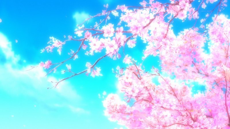hình nền hoa anh đào anime (57)