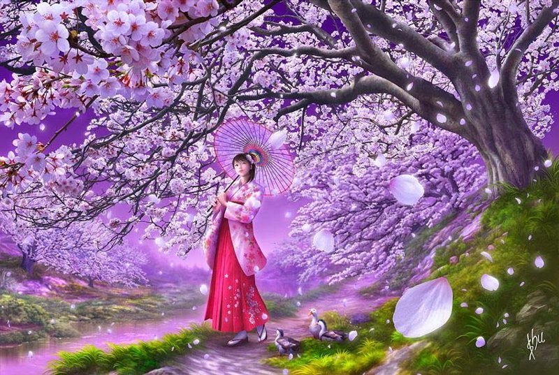 hình nền hoa anh đào anime (58)