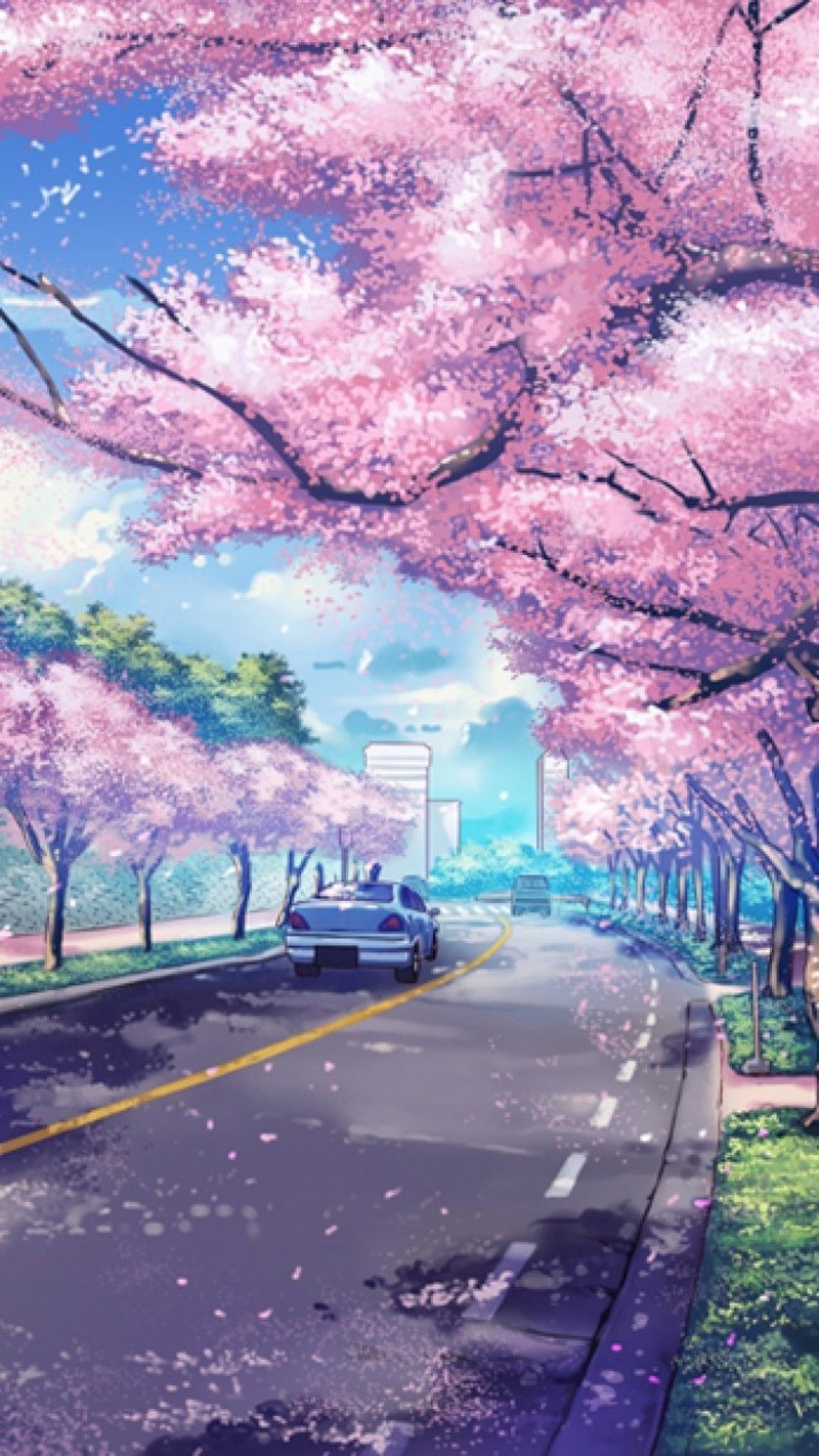 hình nền hoa anh đào anime (6)