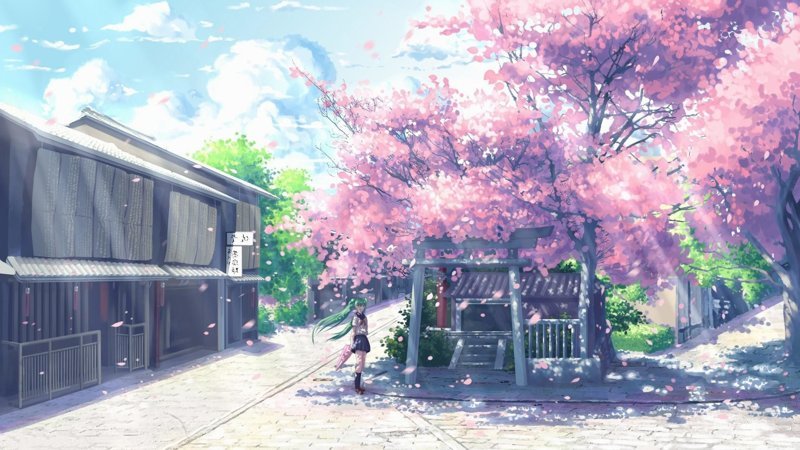 hình nền hoa anh đào anime (62)