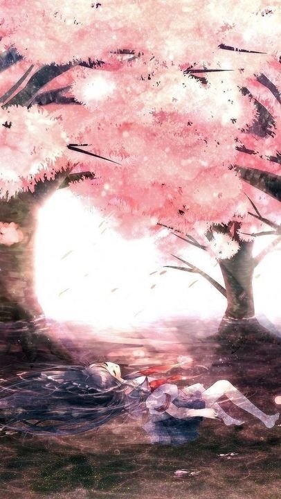hình nền hoa anh đào anime (66)