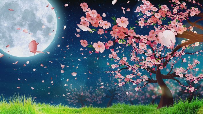 hình nền hoa anh đào anime (68)