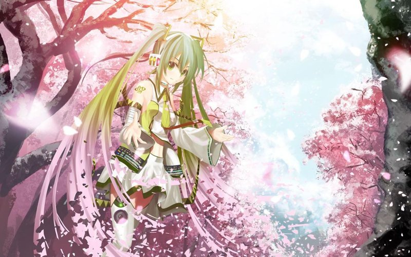 hình nền hoa anh đào anime (70)
