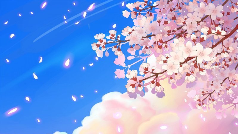 hình nền hoa anh đào anime (73)