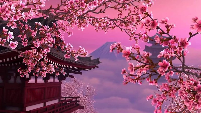 hình nền hoa anh đào anime (74)
