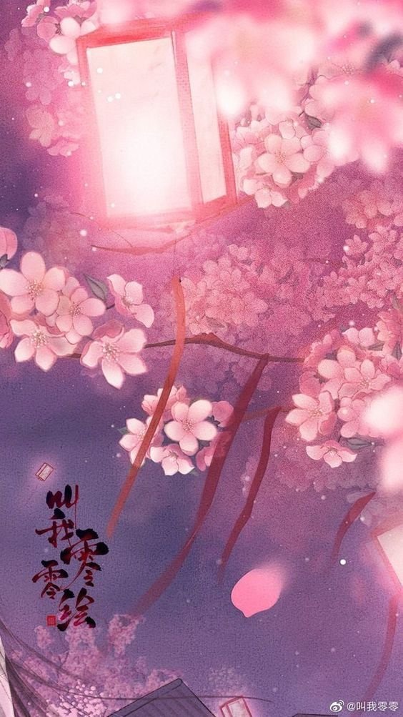 hình nền hoa anh đào anime (78)
