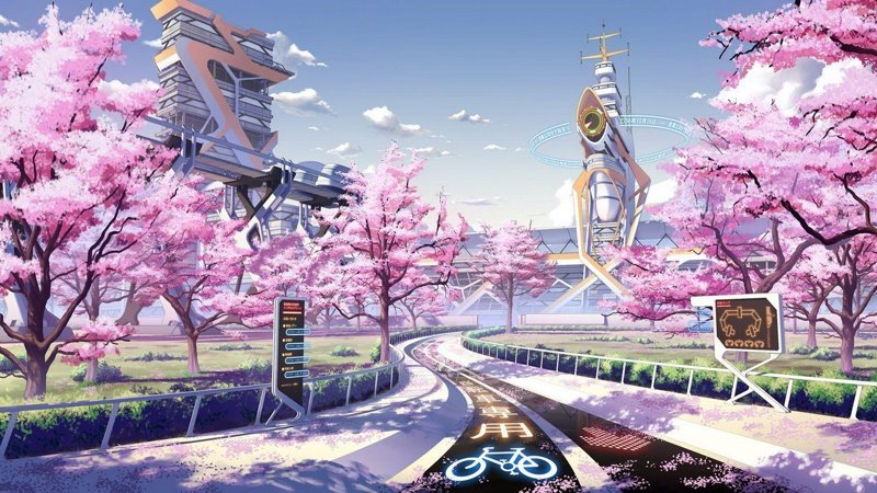 Hình nền hoa anh đào Anime trang nhã và dịu dàng