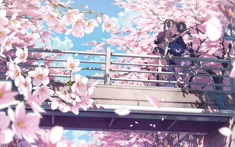 hình nền hoa anh đào anime (85)