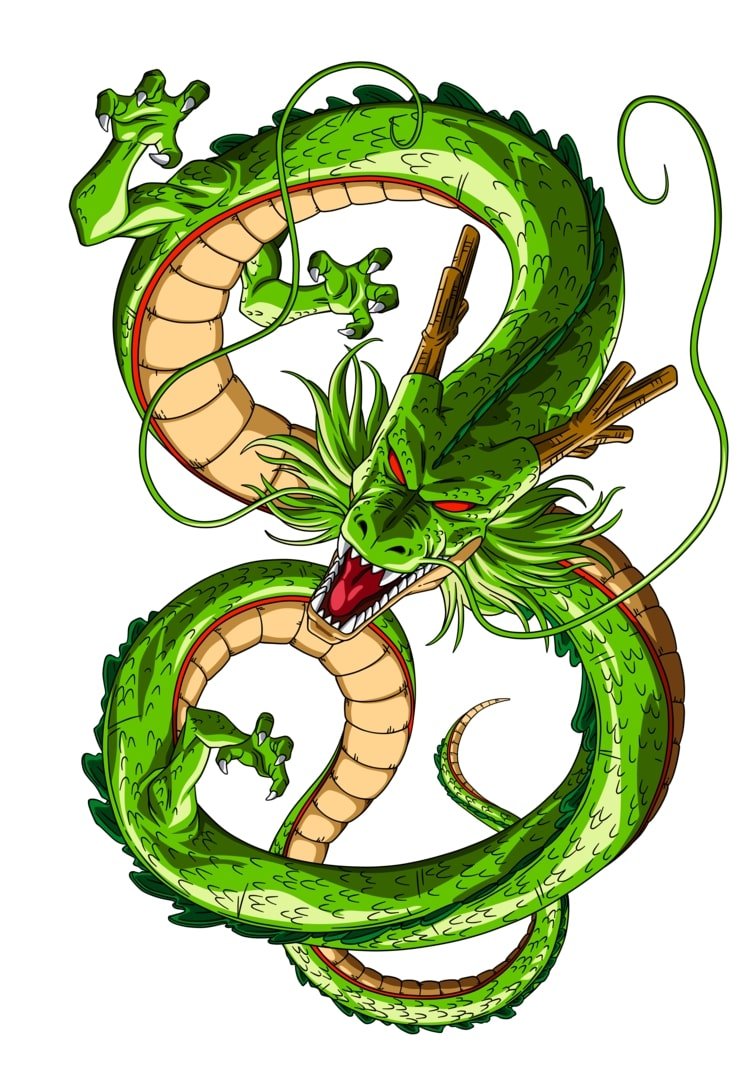 shenron 17