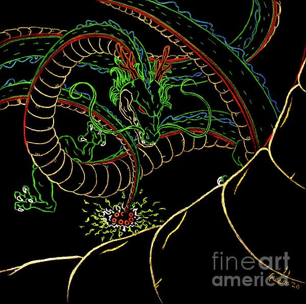 shenron 26