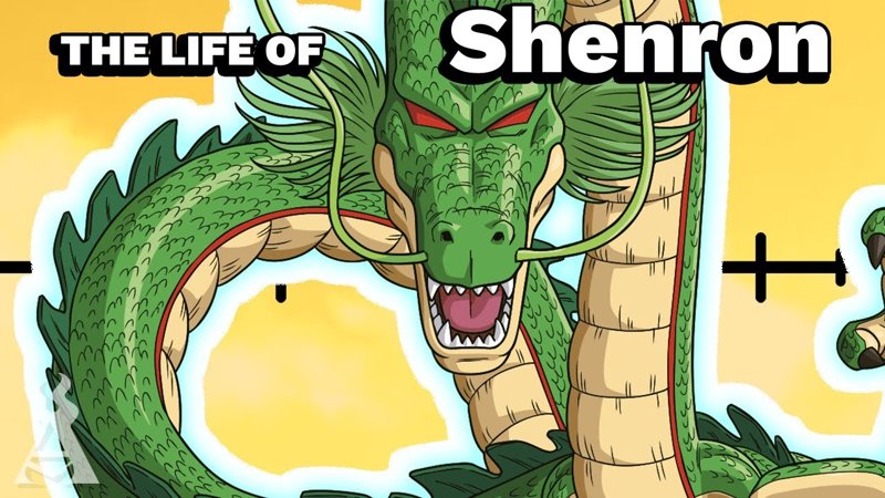 shenron 33