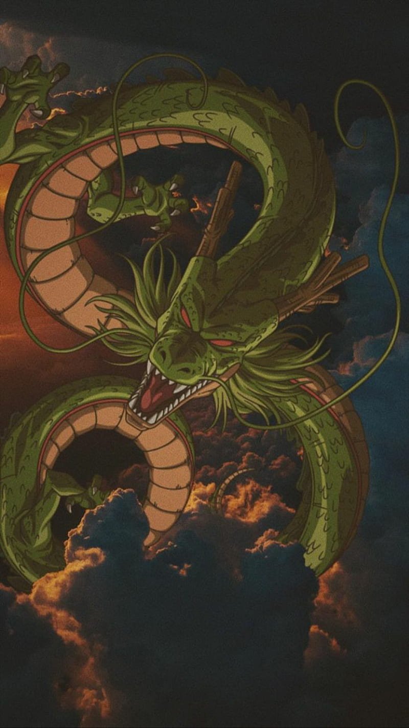 shenron 39