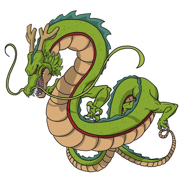 shenron 40