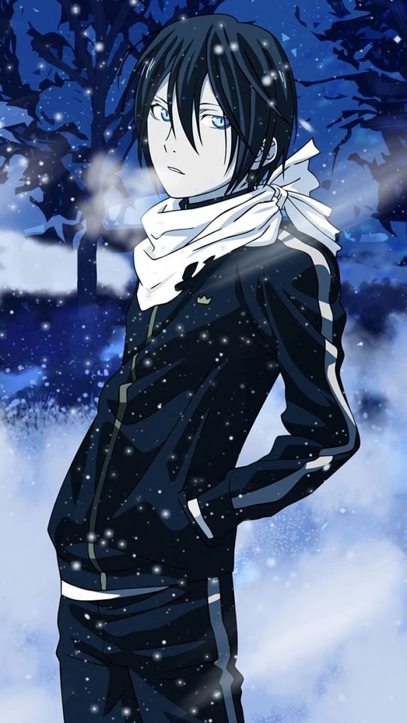 yato 50