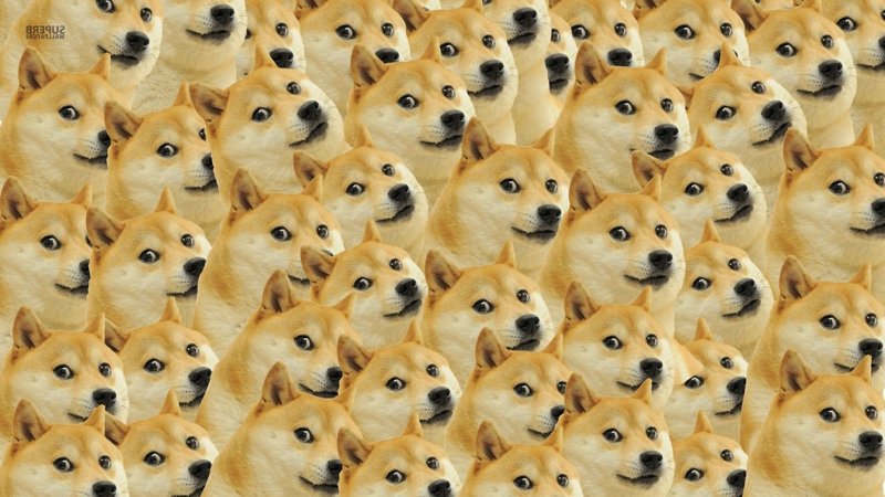 90+ hình nền meme đầy màu sắc với các câu nói hài hước khiến bạn bật cười