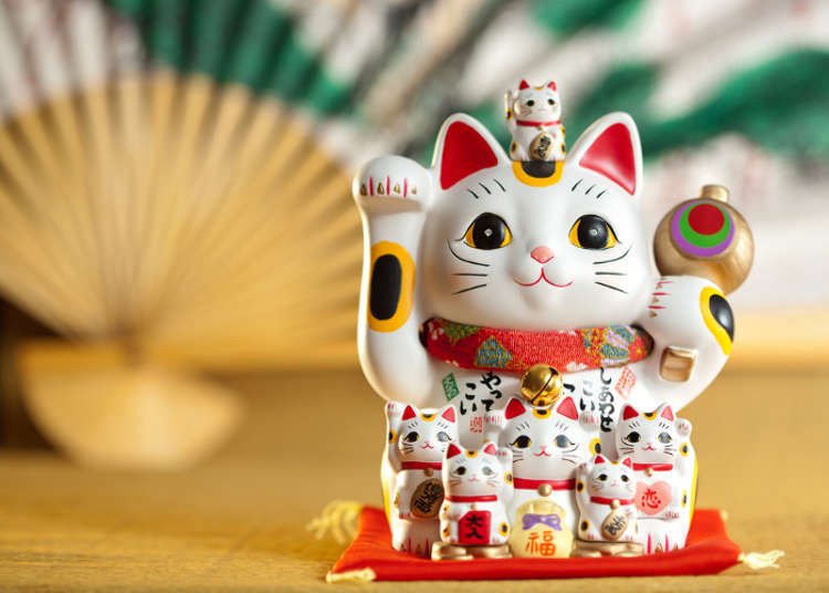 hinh-nen-tuoi-mao