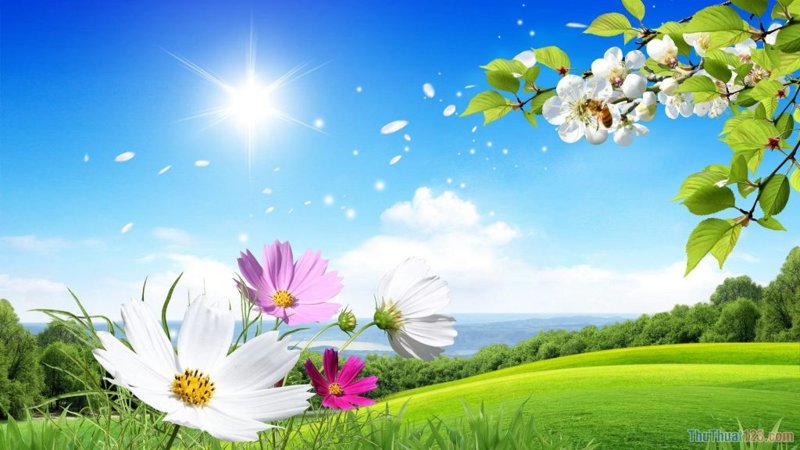 Hình nền Win 10: Cách làm mới giao diện máy tính của bạn
