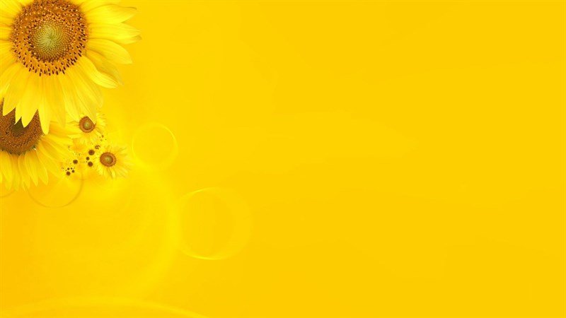 Khám phá bộ sưu tập hình nền màu vàng tuyệt đẹp