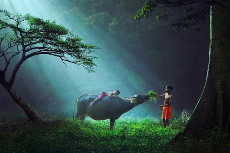 Những Hình Nền Quê Hương Đẹp Mắt Nhất Cho Mọi Thiết Bị