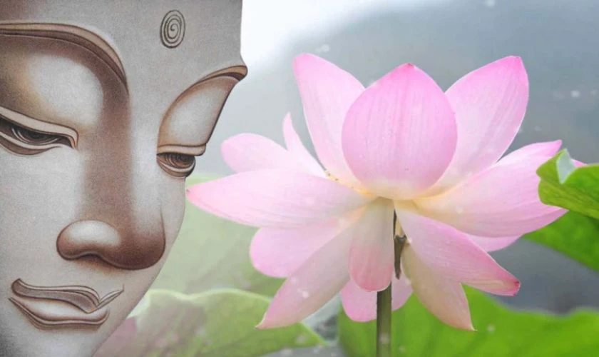 ảnh b&igrave;a Phật 0075