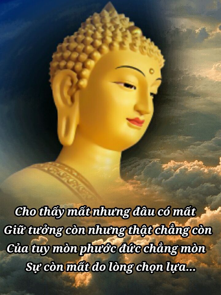 ảnh Ch&uacute; Tiểu Niệm Phật 0010