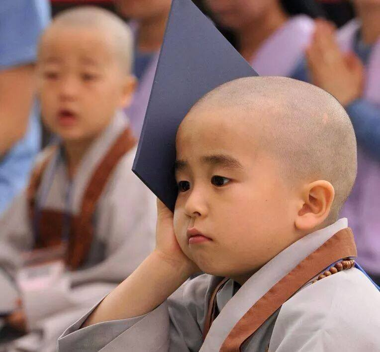 ảnh Ch&uacute; Tiểu Niệm Phật 0013