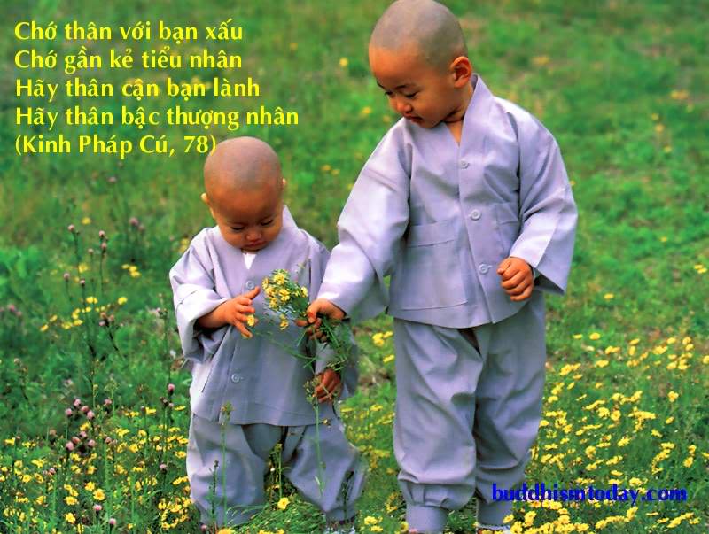 ảnh Ch&uacute; Tiểu Niệm Phật 0023