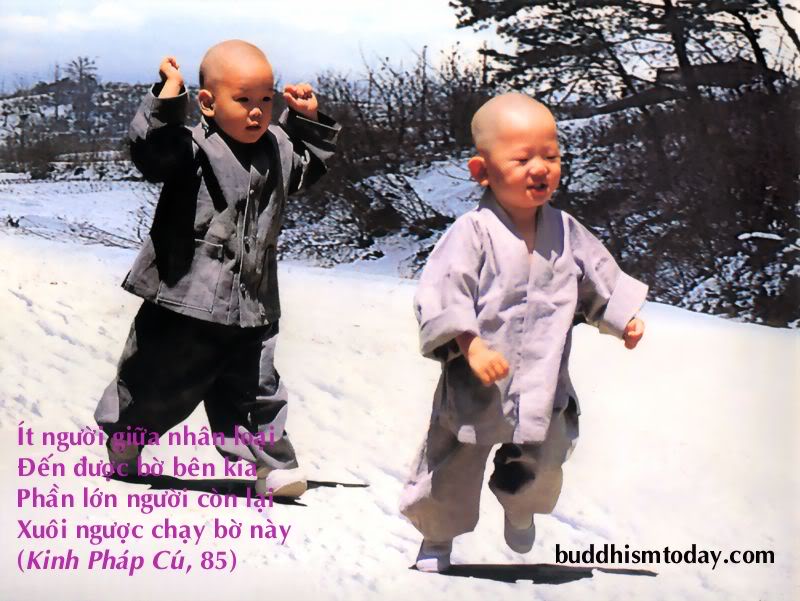 ảnh Ch&uacute; Tiểu Niệm Phật 0032