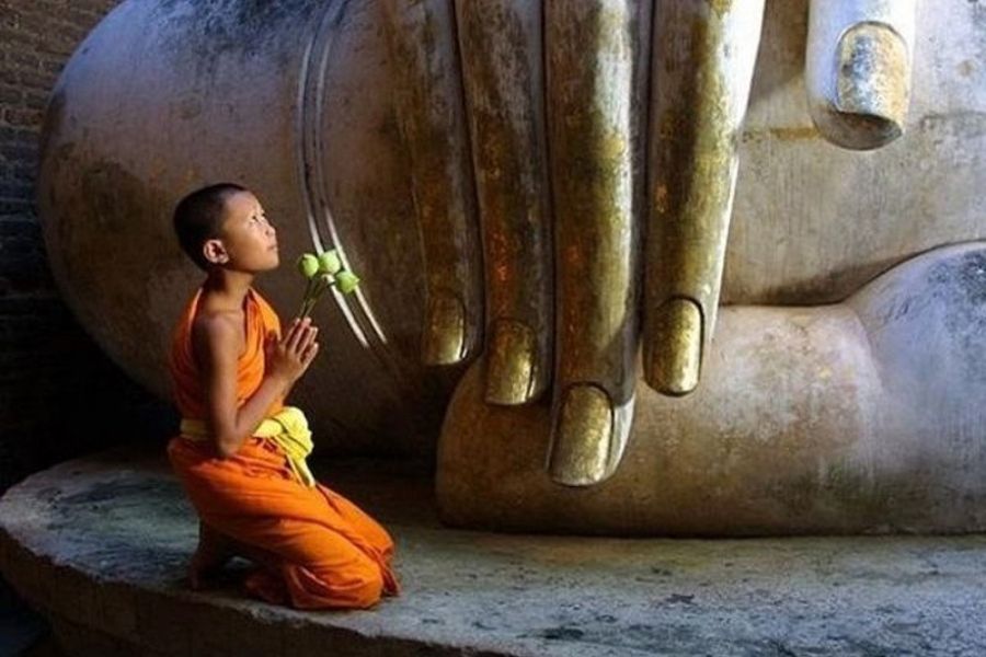 ảnh Ch&uacute; Tiểu Niệm Phật 0075