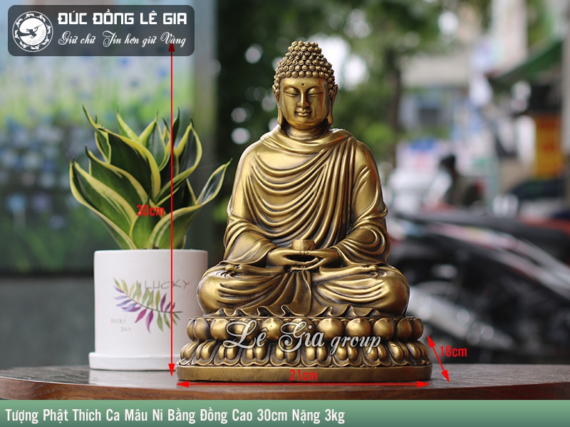 ảnh Phật Th&iacute;ch Ca 0072