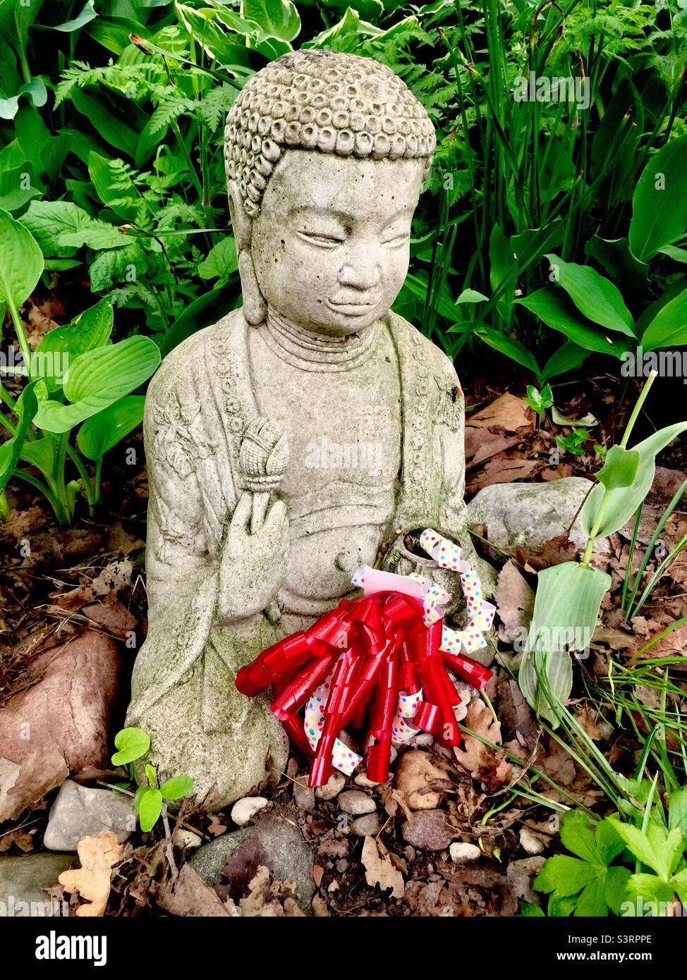 ảnh Phật tịnh t&acirc;m 0093