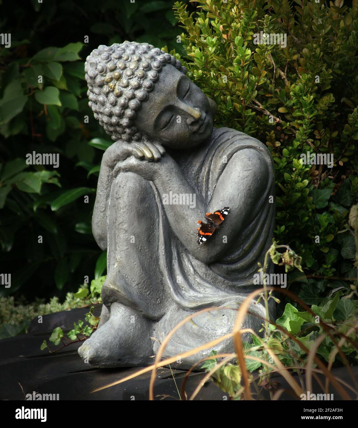 ảnh Phật tịnh t&acirc;m 0094