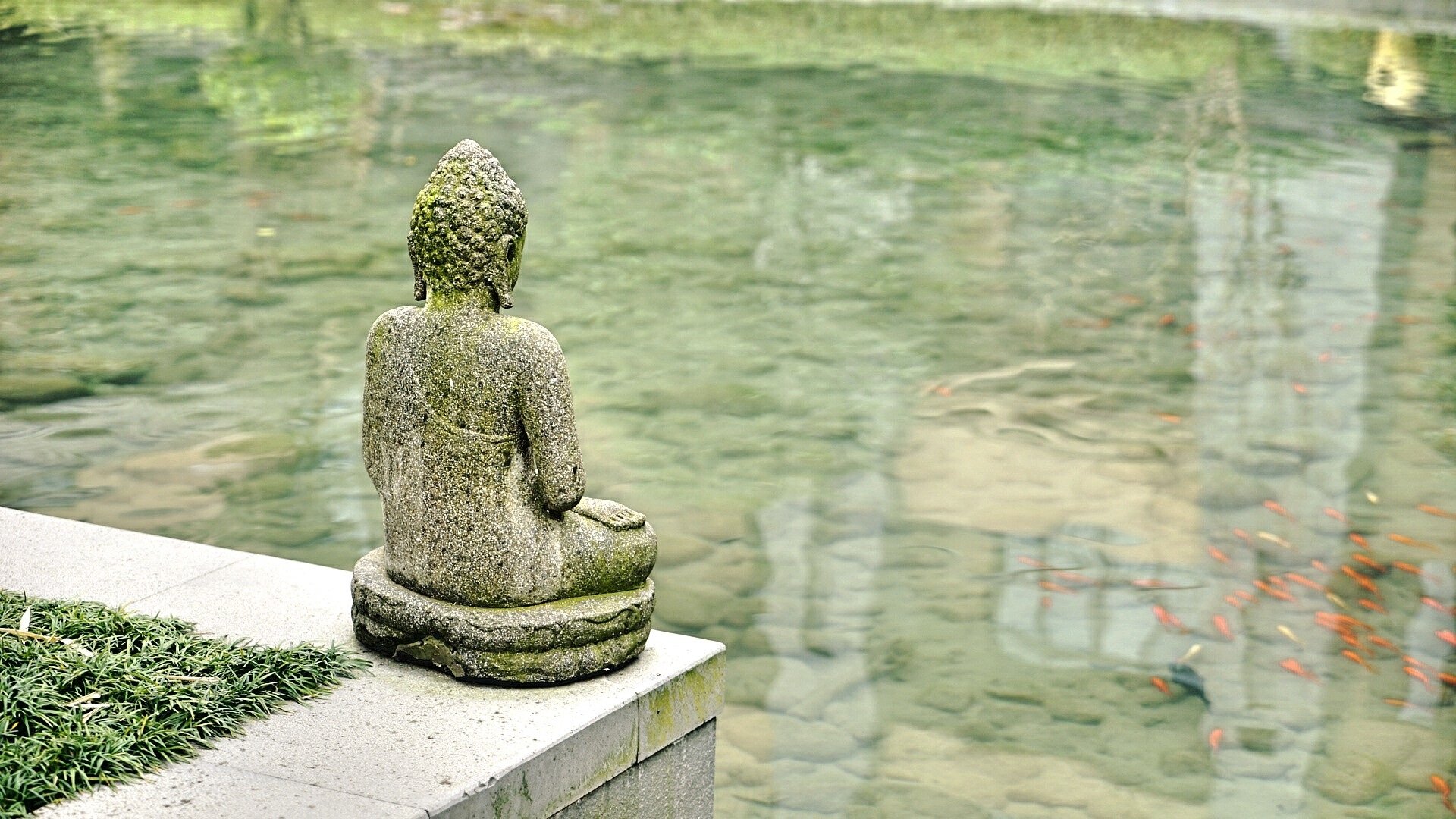 ảnh Phật tịnh t&acirc;m 0095