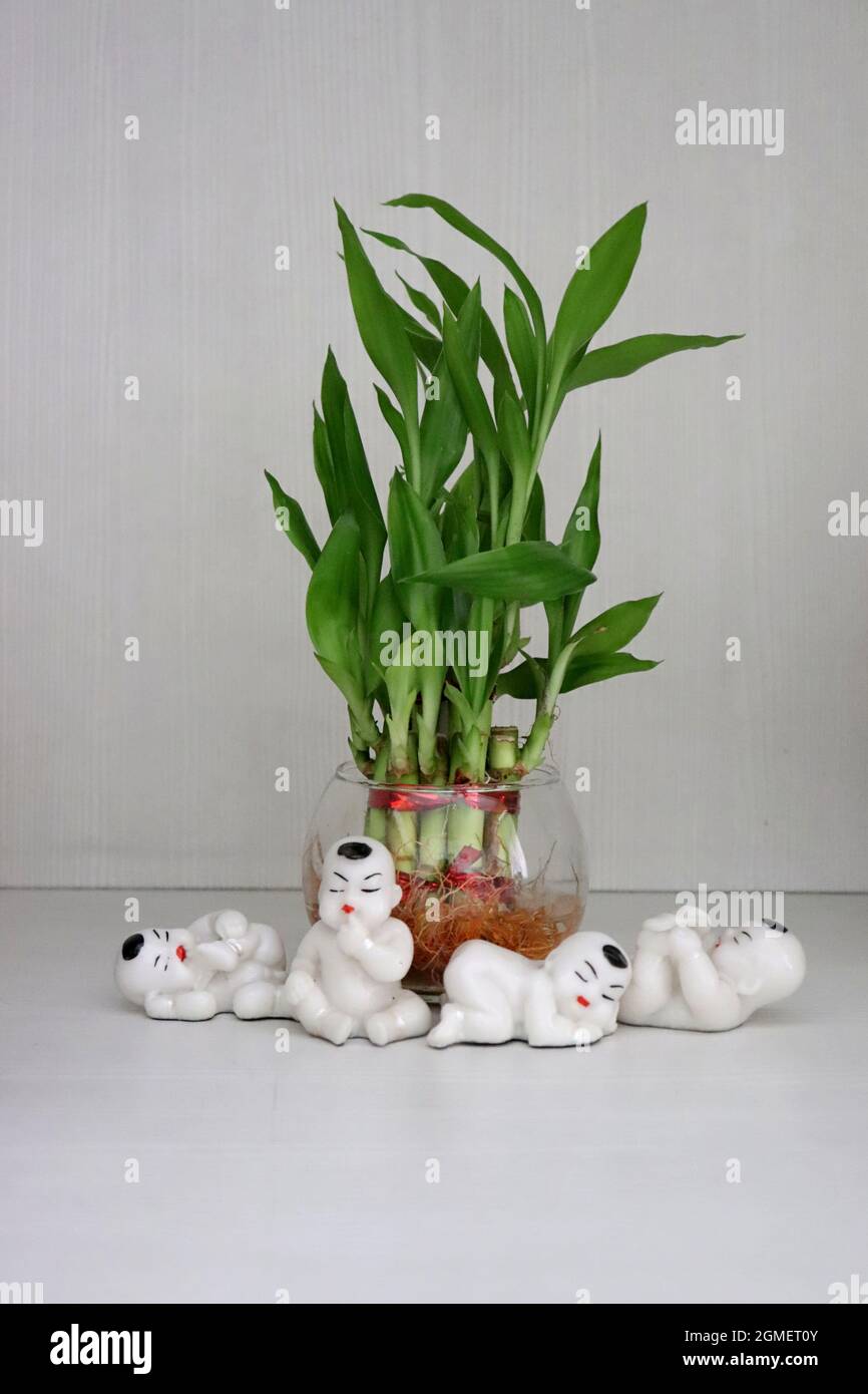 ch&uacute; tiểu ảnh Phật đẹp l&agrave;m h&igrave;nh nền 0084