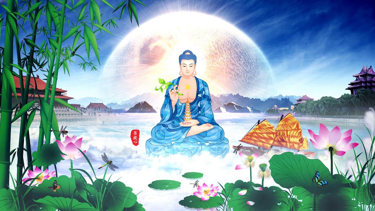h&igrave;nh ảnh cầu nguyện Phật 0080